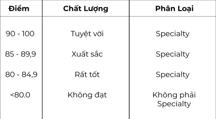 Tiêu chí điểm số phân loại cà phê Specialty của SCA